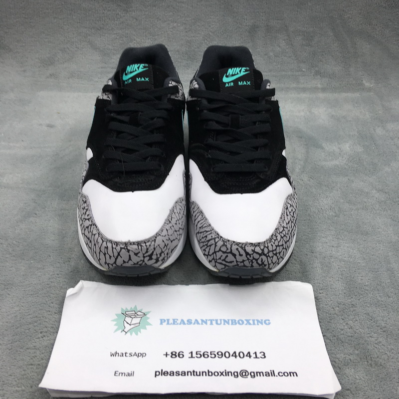 Authentic Air Jordan 3 x air max 1 “Atmos”